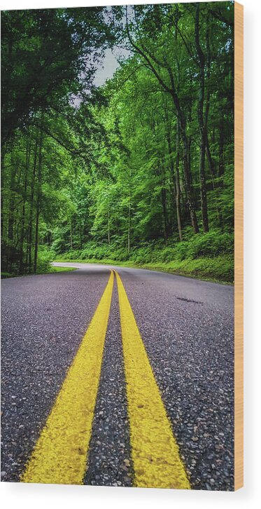 Nature Wood Print featuring the photograph Mountain Highway by Joe Leone