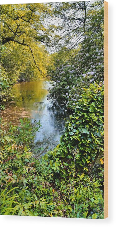 Rhododendrons Wood Print featuring the photograph Park River Rhododendrons by Stacie Siemsen