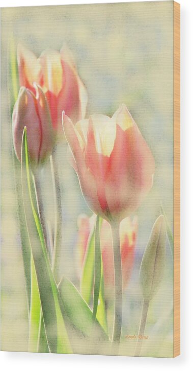 Tulips Wood Print featuring the photograph The Scent of Tulips by Angela Davies