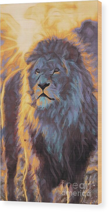 Animals Wood Print featuring the photograph Animal Abstract Art - Male Lion Sunset by Philip Preston