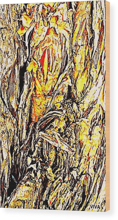 Tree Wood Print featuring the photograph Beautiful Tree Bark Study  by VIVA Anderson