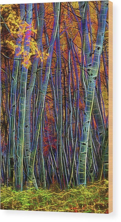 Aspen Wood Print featuring the digital art CDpx_01056 by Clark Dunbar