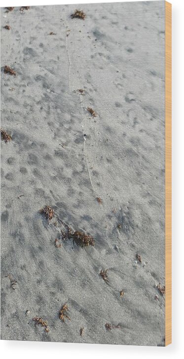 Tranquility Wood Print featuring the photograph Full frame view of beach sand by Renata Rendon / FOAP