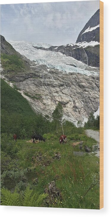 Glacier Wood Print featuring the photograph glacier Norway Norvege by Joelle Philibert