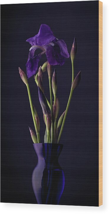 Purple Wood Print featuring the photograph Iris by Holly Ross