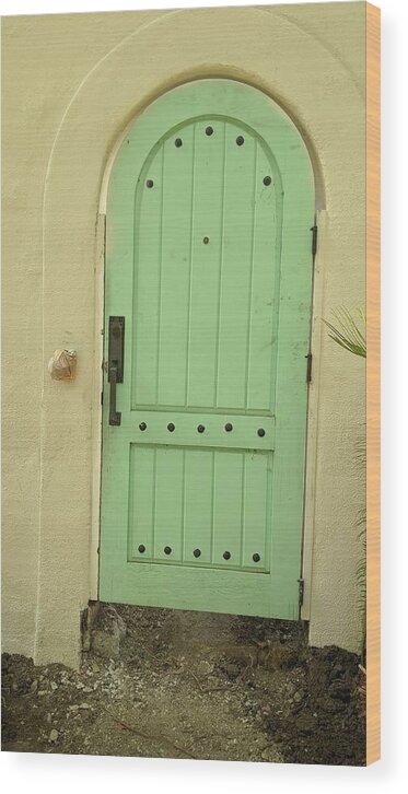 Mint Door Wood Print featuring the photograph Mint Door by Jera Sky
