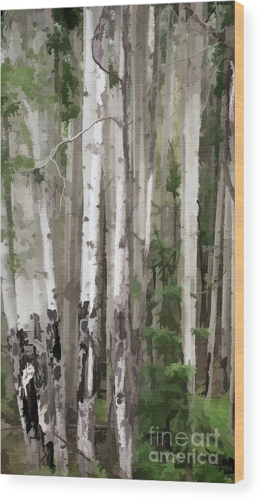 Aspen Wood Print featuring the photograph Out of One, Many by Donna Greene