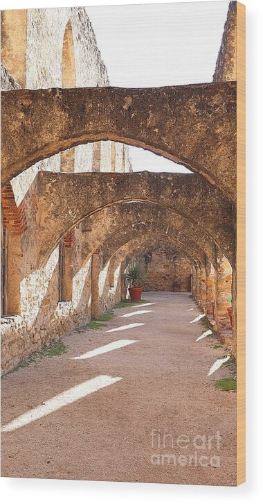 Mission Wood Print featuring the photograph Pathway arches by Charlene Adler