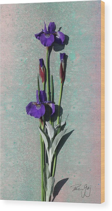 Iris Wood Print featuring the photograph Purple Iris by Paul Gaj