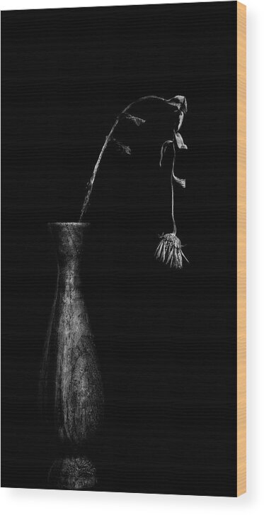 Still Life Wood Print featuring the photograph The end, still life with wilting flower by Alessandra RC