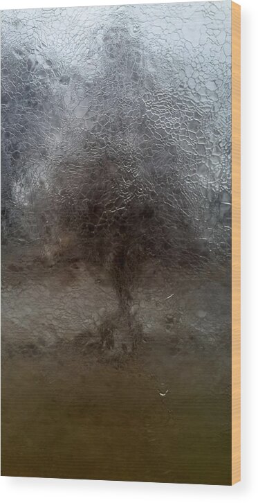 Ice Wood Print featuring the photograph Tree in Ice Storm 3A by Kevin Eatinger