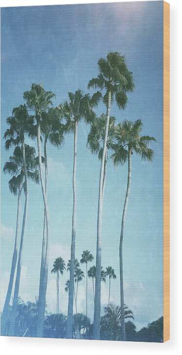 Palms Wood Print featuring the photograph Vintage Palms by Laura Fasulo