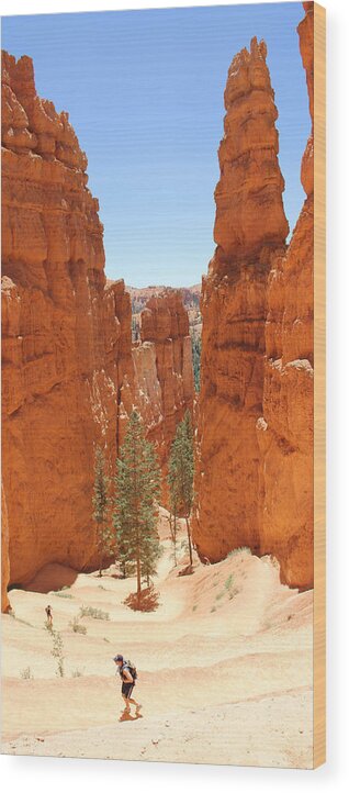 Southwest Wood Print featuring the photograph A Long Way to the Top by Mike McGlothlen