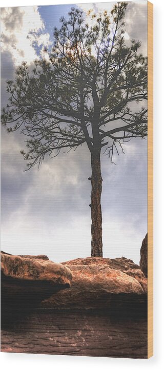 Lone Wood Print featuring the photograph Lone Tree 11351 by Jerry Sodorff