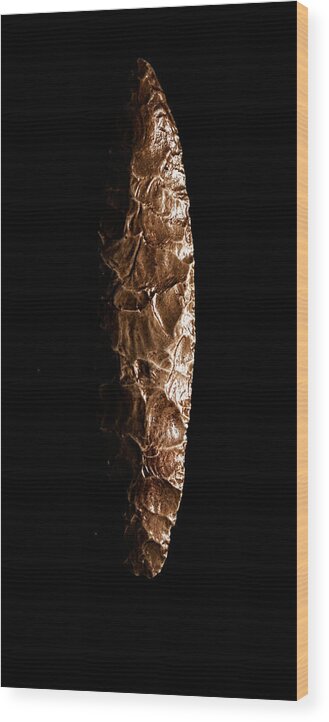 Paleolithic Wood Print featuring the photograph Paleolithic tool 3 no text by Weston Westmoreland
