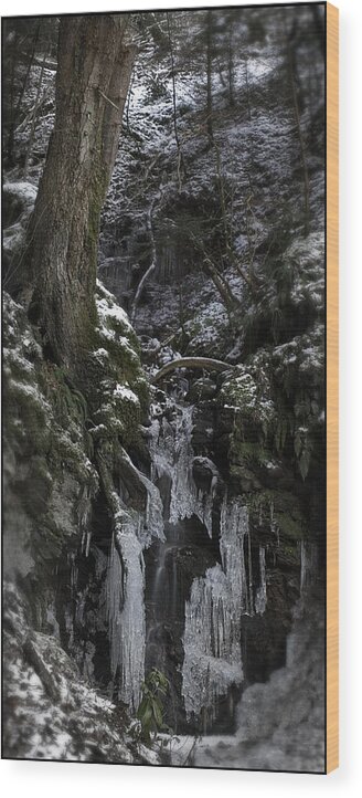 Reelig Wood Print featuring the photograph Everything stops for winter by Joe Macrae