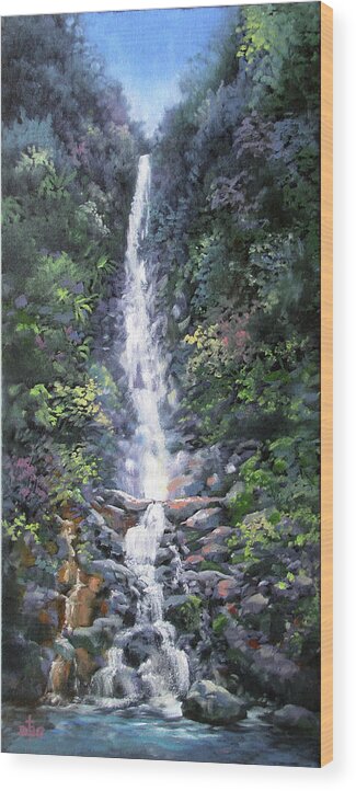 Waterfall Wood Print featuring the painting Trafalger Falls by David Bader