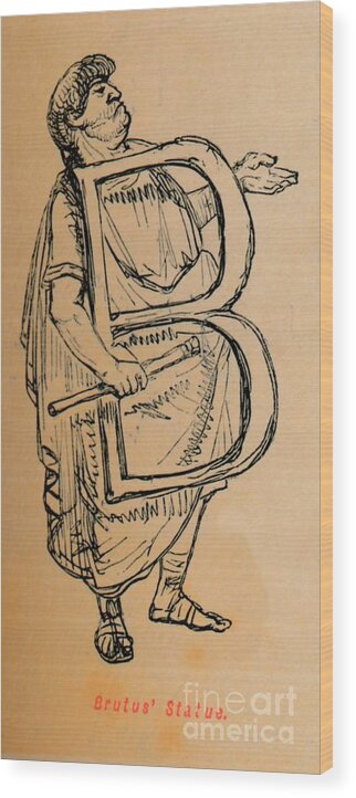 Engraving Wood Print featuring the drawing Brutus Status by Print Collector