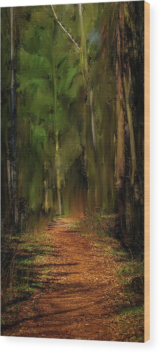 Path Into Fairy Forest Wood Print featuring the mixed media Path Into Fairy Forest #i6 by Leif Sohlman