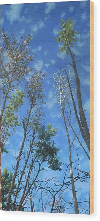 Trees Wood Print featuring the painting The Heights by Don Morgan