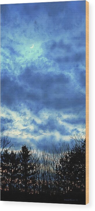 Landscape Wood Print featuring the painting The Silver Lining by Shana Rowe Jackson