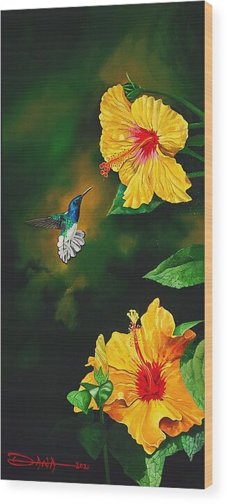 Birds Wood Print featuring the painting White Necked Jacobin and Yellow Hibiscus by Dana Newman