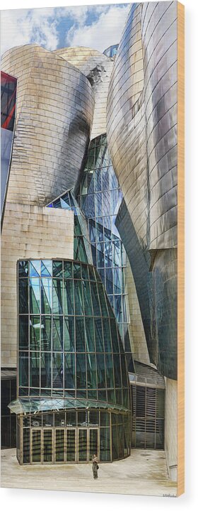 Guggenheim Wood Print featuring the photograph Guggenheim Museum Bilbao Entrance Cropped by Weston Westmoreland