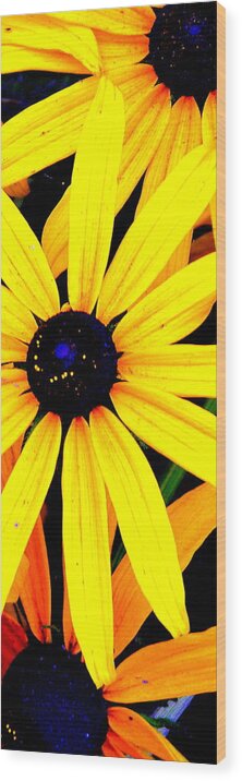 Daisys Wood Print featuring the photograph Center of Attention by Antonia Citrino