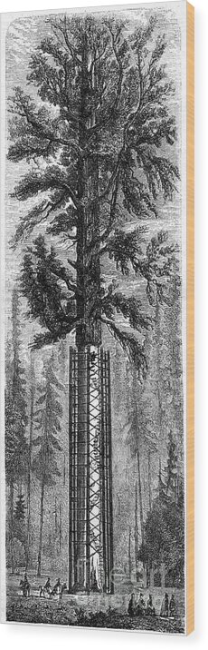Engraving Wood Print featuring the drawing Yosemite National Park, California by Print Collector