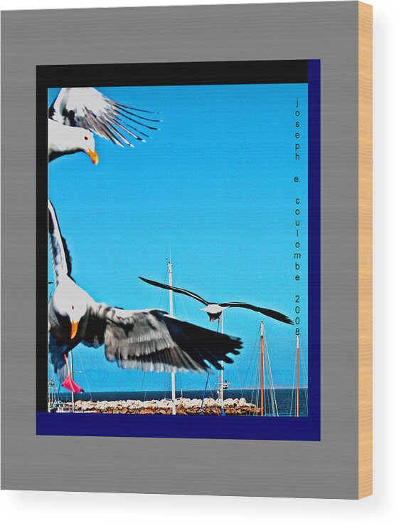 Seagulls Wood Print featuring the digital art West Coast Sea Birds by Joseph Coulombe