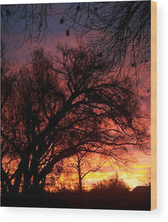 Sunset Wood Print featuring the photograph Fall Fire #1 by Roseann Errigo