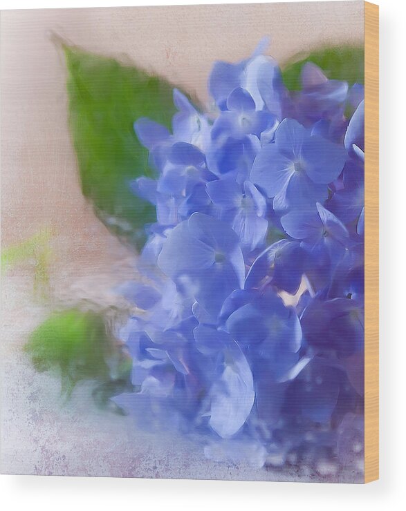 Flower Wood Print featuring the photograph Hydrangea #2 by Anna Rumiantseva
