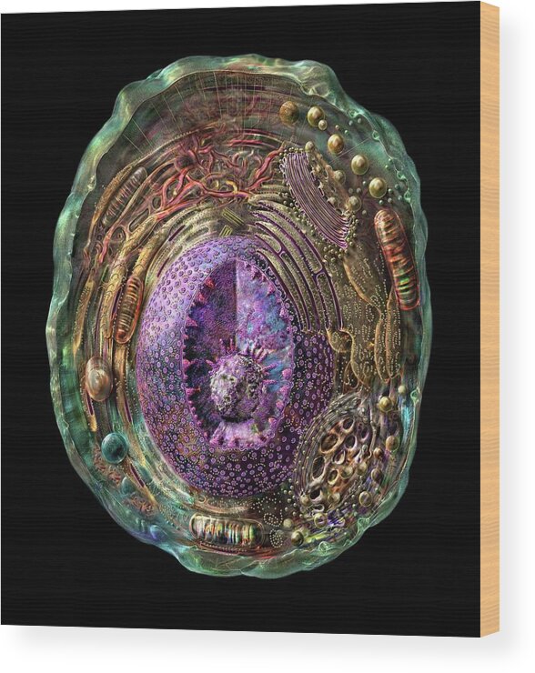 Anatomical Wood Print featuring the photograph Animal Cell by Russell Kightley/science Photo Library