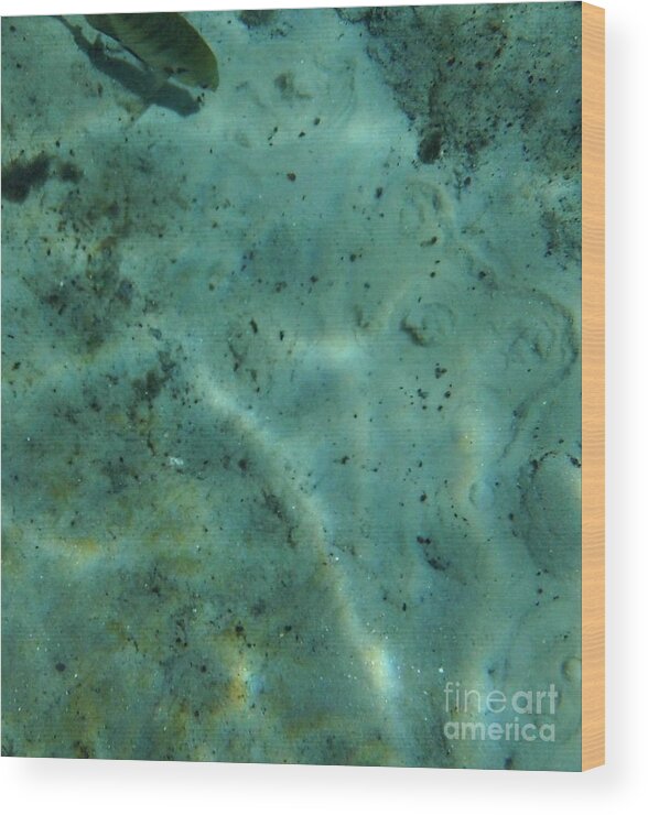Rainbow Springs Wood Print featuring the photograph Beautiful Bubbling Springs by D Hackett