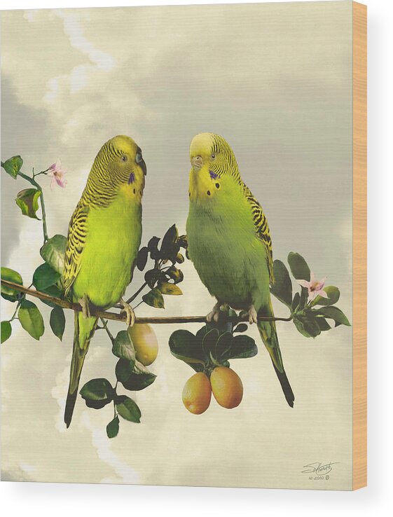 Parrots Wood Print featuring the digital art Budgerigars in Kumquat Tree by M Spadecaller