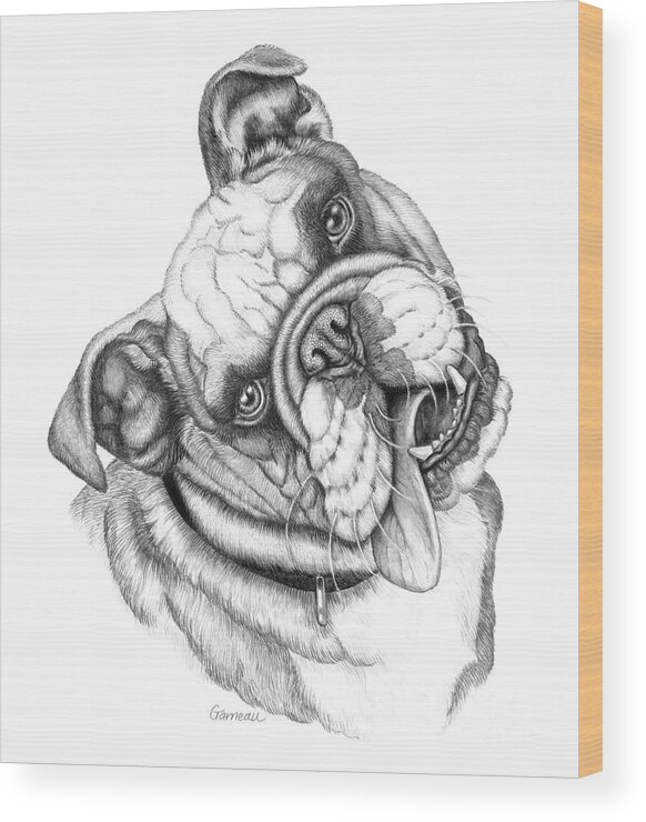 Bulldog Wood Print featuring the drawing Buster by Catherine Garneau