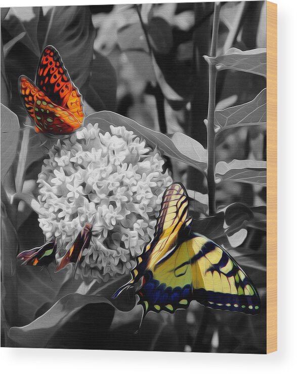 Butterfly Wood Print featuring the digital art Butterflies at Rest by Kelvin Booker