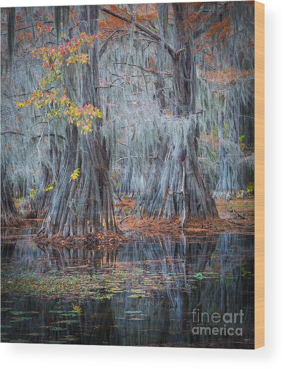 America Wood Print featuring the photograph Caddo Lake Fall by Inge Johnsson