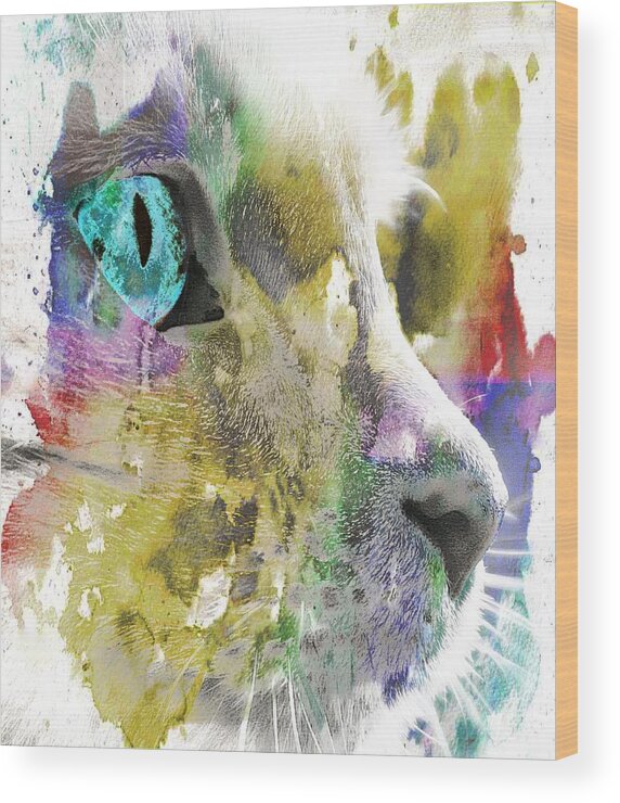 Cat Wood Print featuring the photograph Cat's Eye Abstract by Virginia Folkman