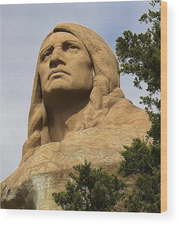 Statue Wood Print featuring the photograph Chief Blackhawk by Bruce Bley