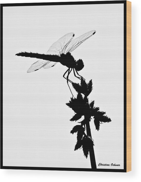 Dragonfly Silhouette Wood Print featuring the photograph Dragonfly Silhouette by Christina Ochsner