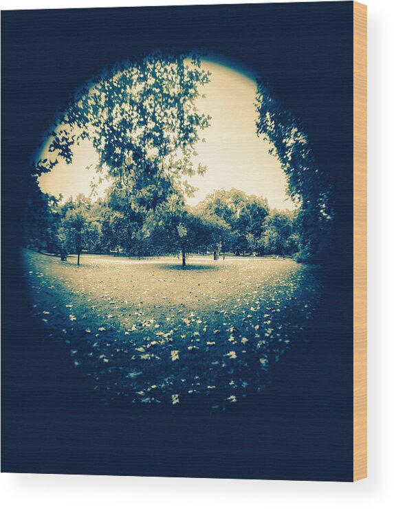 Leaves Wood Print featuring the photograph Fish eye Park by Lenny Carter