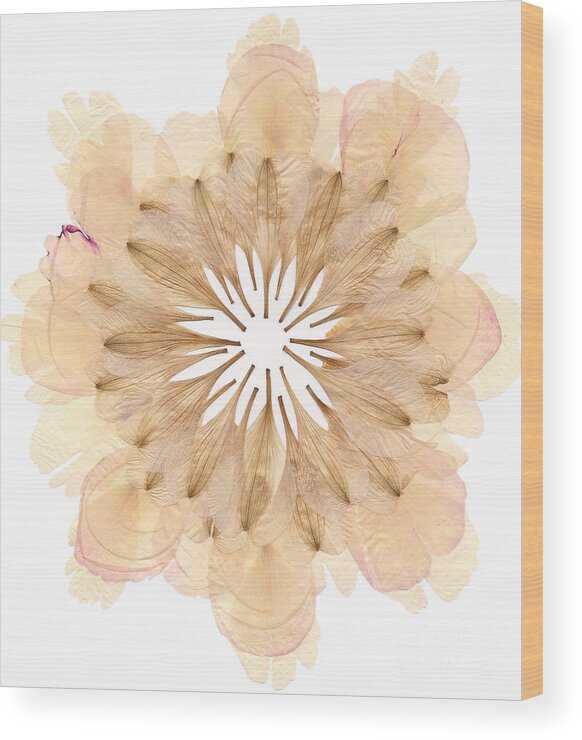 Flower Wood Print featuring the mixed media Flower Mandala 2 by Michelle Bien