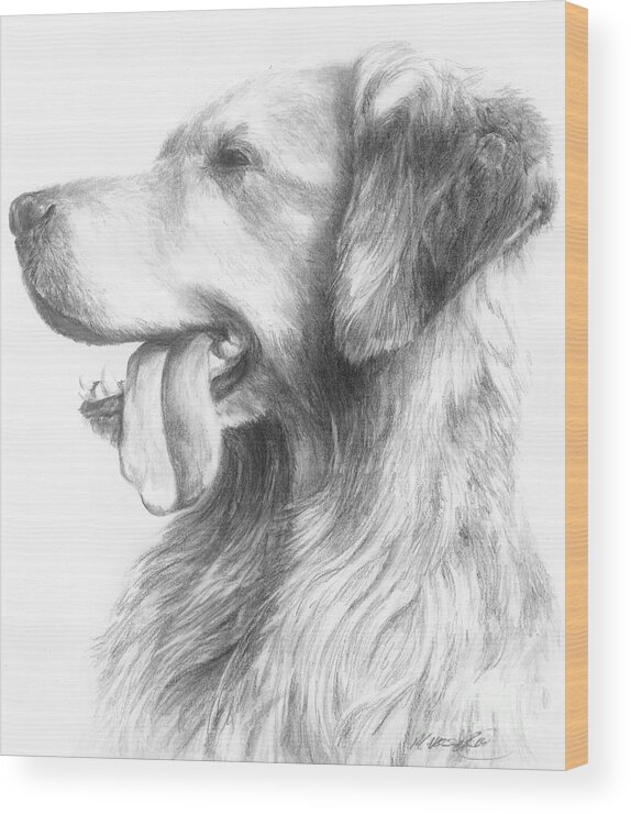 Dog Wood Print featuring the drawing Golden Retriever Study by Meagan Visser