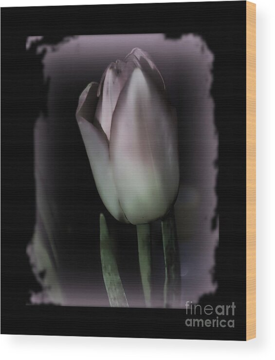 Botanical Wood Print featuring the photograph Haunted Beauty by Eva Thomas