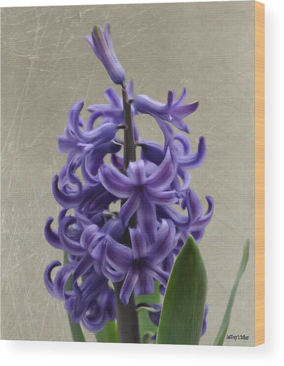 Bloom Wood Print featuring the painting Hyacinth Purple by Jeffrey Kolker
