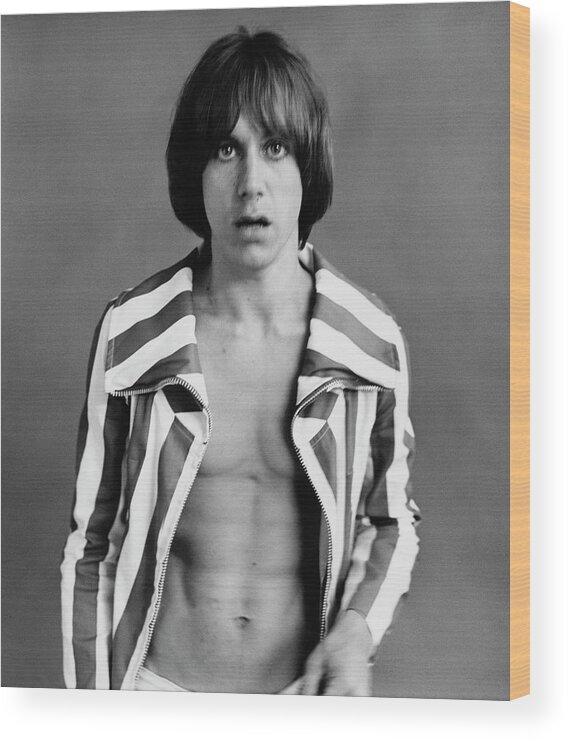 Entertainment Wood Print featuring the photograph Iggy Pop Wearing A Striped Jacket by Peter Hujar