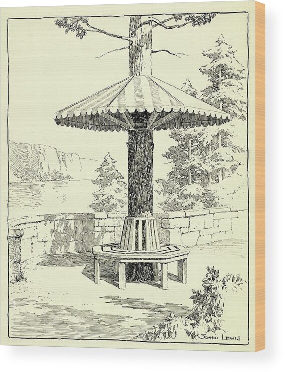 Garden Wood Print featuring the photograph Illustration Of Park Bench Around Tree by Schell Lewis