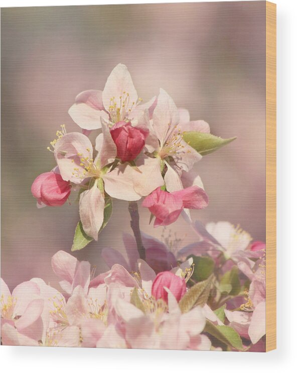 Flower Wood Print featuring the photograph In the Pink by Kim Hojnacki