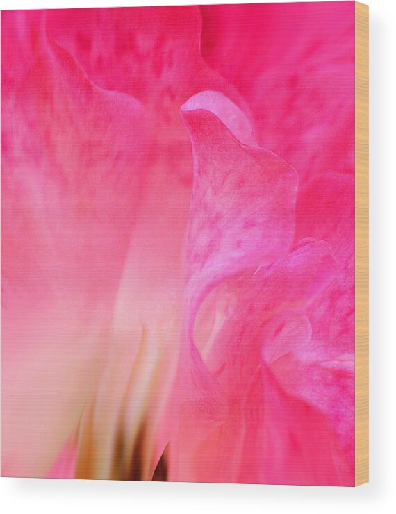 Roses Wood Print featuring the photograph Mermaid in Love by The Art Of Marilyn Ridoutt-Greene
